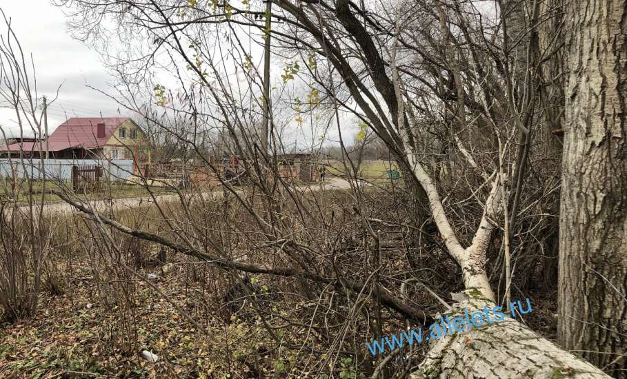 Хотите снять фильм ужасов - приезжайте в Елецкий район в посёлок Елецкий!