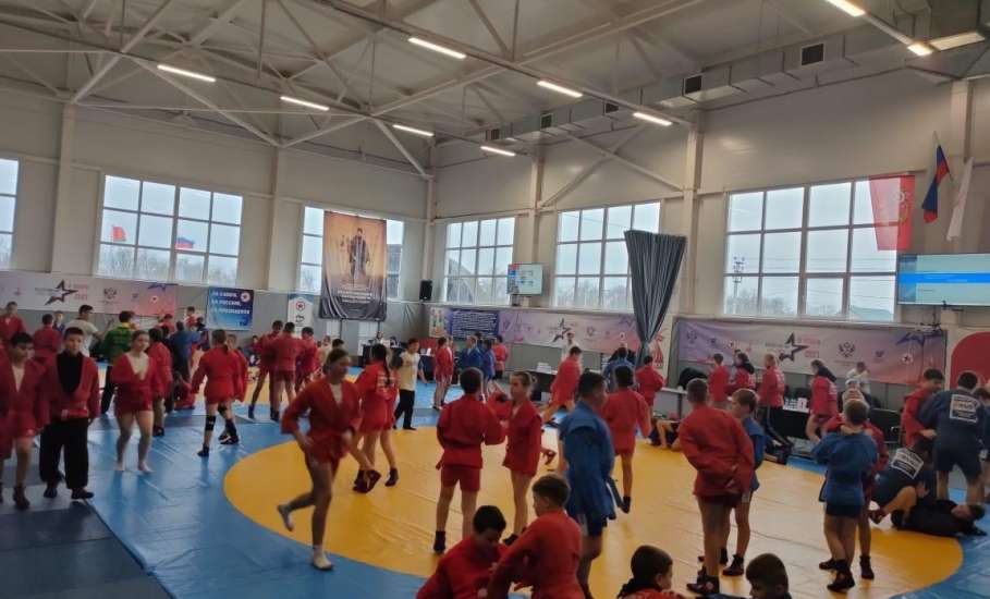 15 ноября во Дворце самбо в д. Хмелинец состоялись соревнования, посвящённые Дню самбо