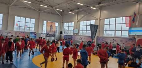 15 ноября во Дворце самбо в д. Хмелинец состоялись соревнования, посвящённые Дню самбо