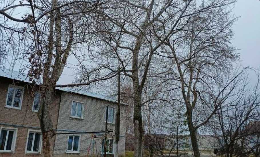 Рутинная работа в Ельце. Опиливают деревья, меняют ржавые дорожные знаки!