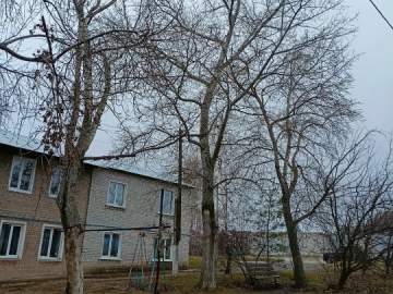 Рутинная работа в Ельце. Опиливают деревья, меняют ржавые дорожные знаки!