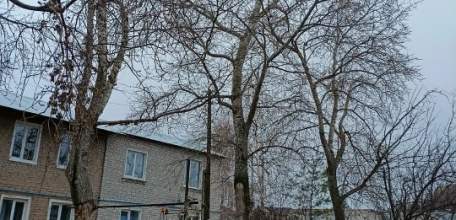 Рутинная работа в Ельце. Опиливают деревья, меняют ржавые дорожные знаки!