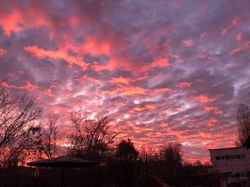 Сирена завыла в Ельце! Возможна атака города!