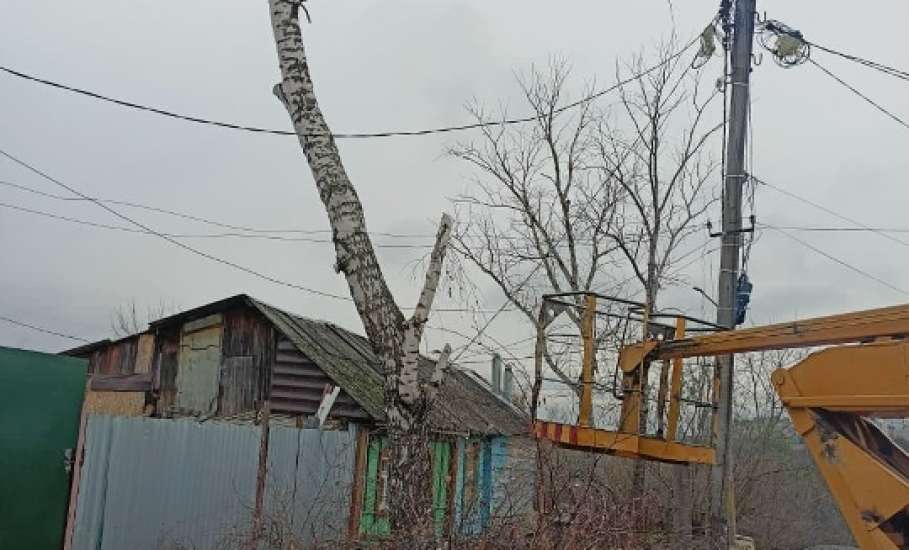В Ельце спилили дерево черёмуху и опилили тополь с берёзой
