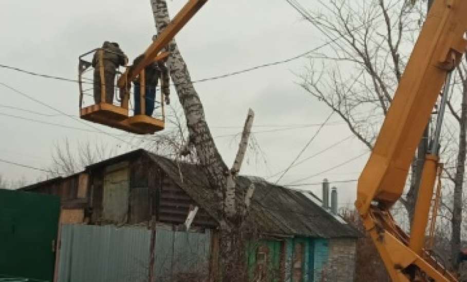 В Ельце спилили дерево черёмуху и опилили тополь с берёзой