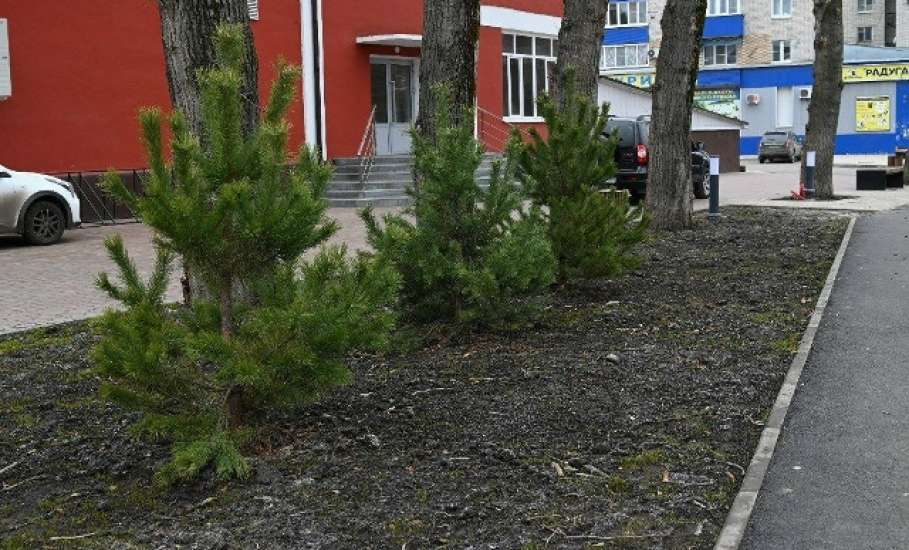 У ДК Железнодорожников в Засосне наконец облагородили остановку общественного транспорта!