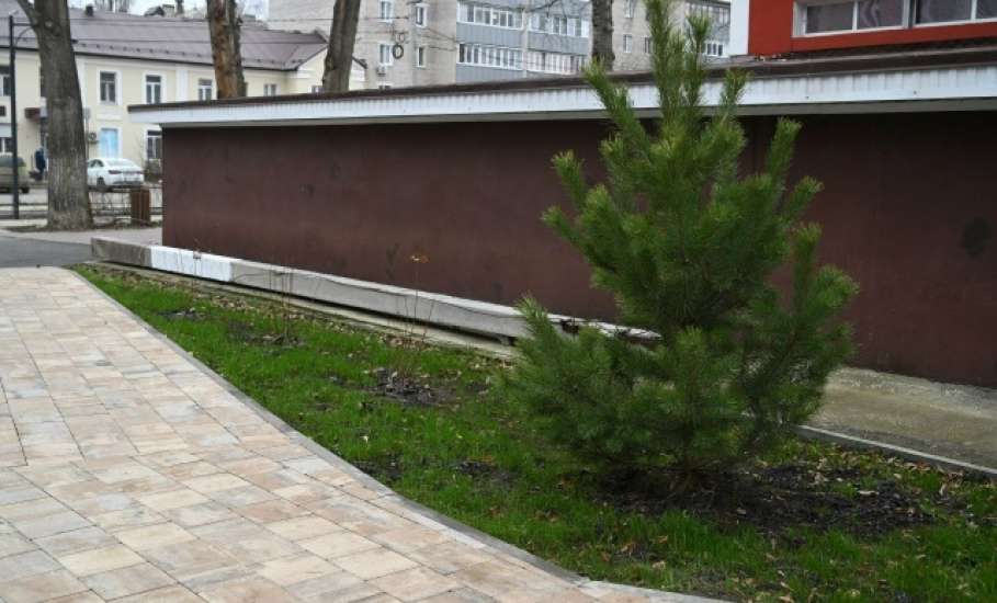 У ДК Железнодорожников в Засосне наконец облагородили остановку общественного транспорта!