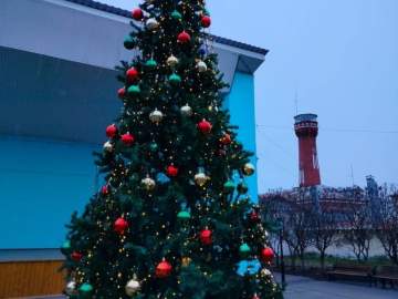 В Горсаду Ельца установили и украсили новогоднюю ёлку!