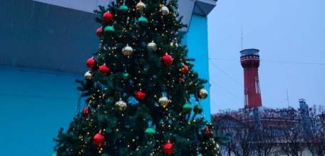 В Горсаду Ельца установили и украсили новогоднюю ёлку!