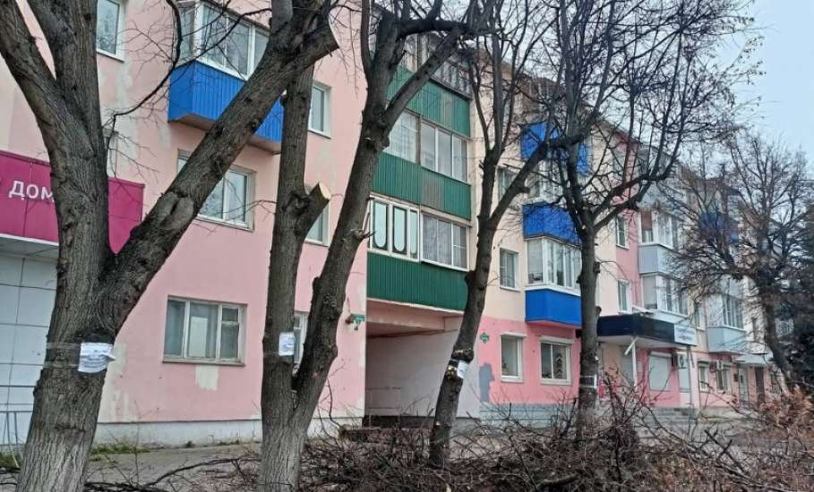 Сегодня в городе снова наводили порядок!