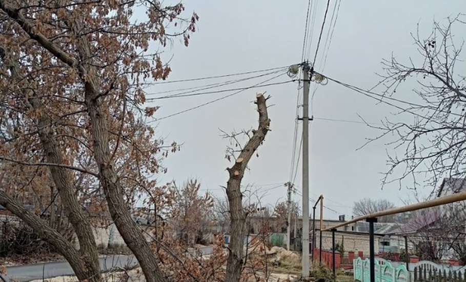 Сегодня в городе снова наводили порядок!