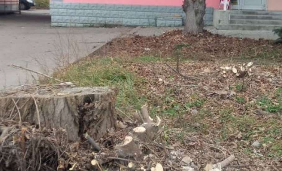 Сегодня в городе снова наводили порядок!