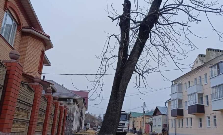 Сегодня в городе снова наводили порядок!