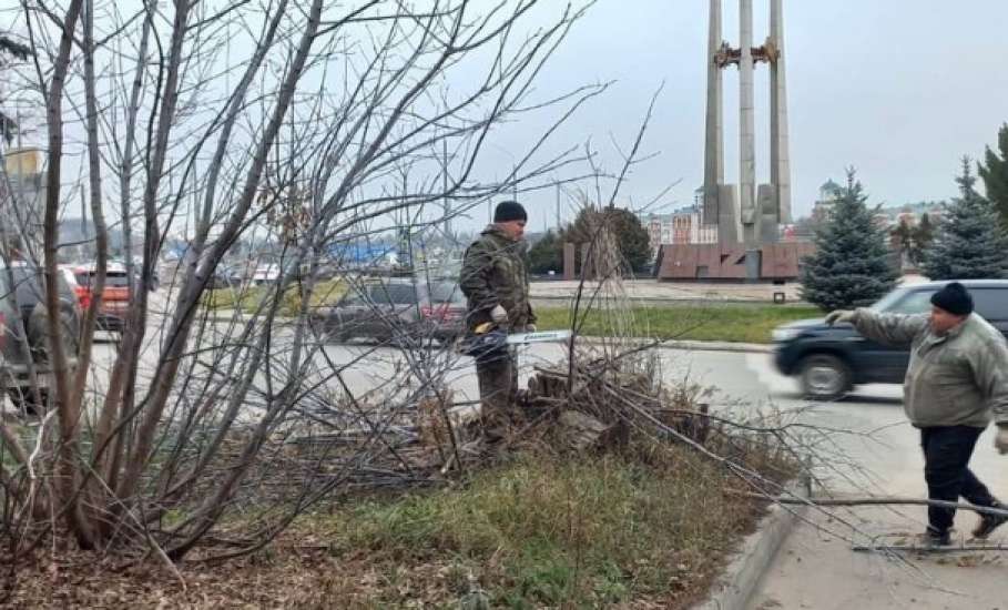 Сегодня в городе снова наводили порядок!