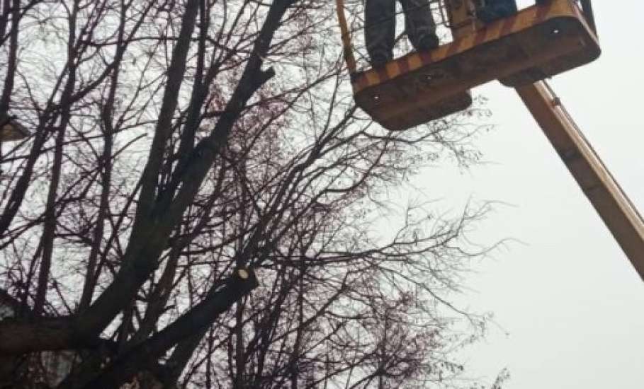 Сегодня в городе снова наводили порядок!