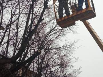 Сегодня в городе снова наводили порядок!
