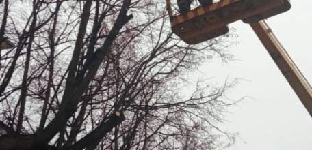 Сегодня в городе снова наводили порядок!