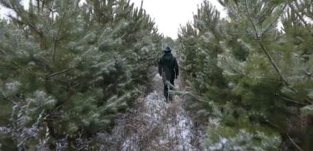 Срубил ёлку - заплати штраф 500000 р!