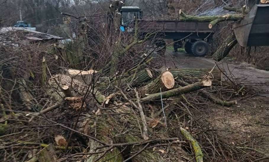 В Ельце продолжают наводить порядок на кладбище и улицах