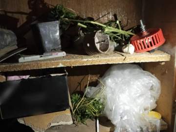 Житель Елецкого района подозревается в незаконном хранении марихуаны