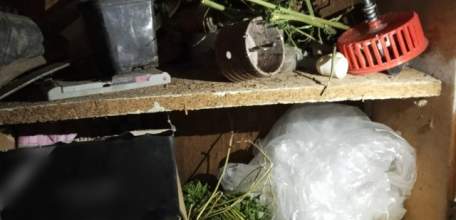 Житель Елецкого района подозревается в незаконном хранении марихуаны