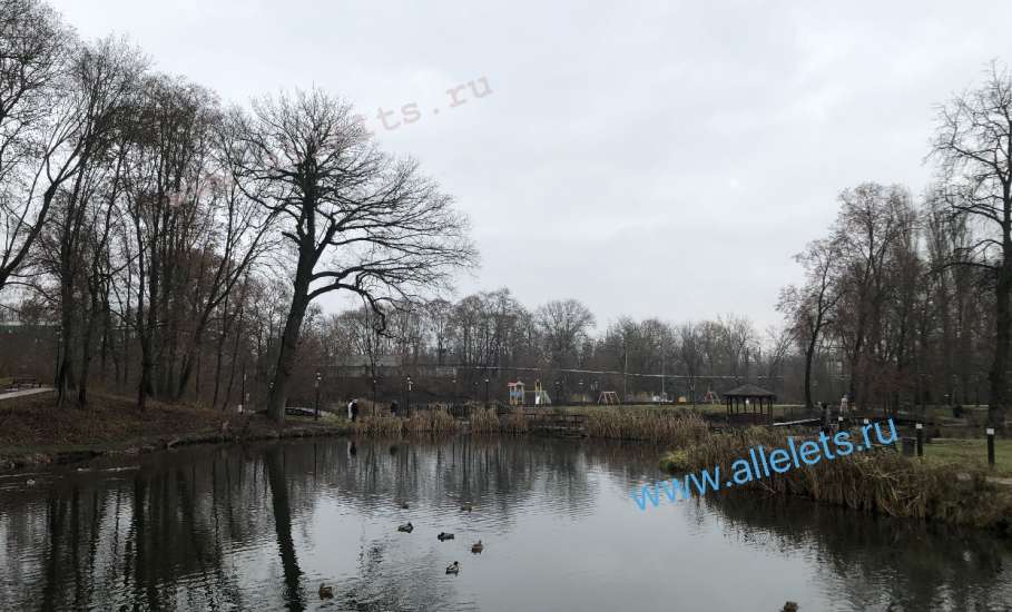 Дождливая осень в Петровском парке Ельца