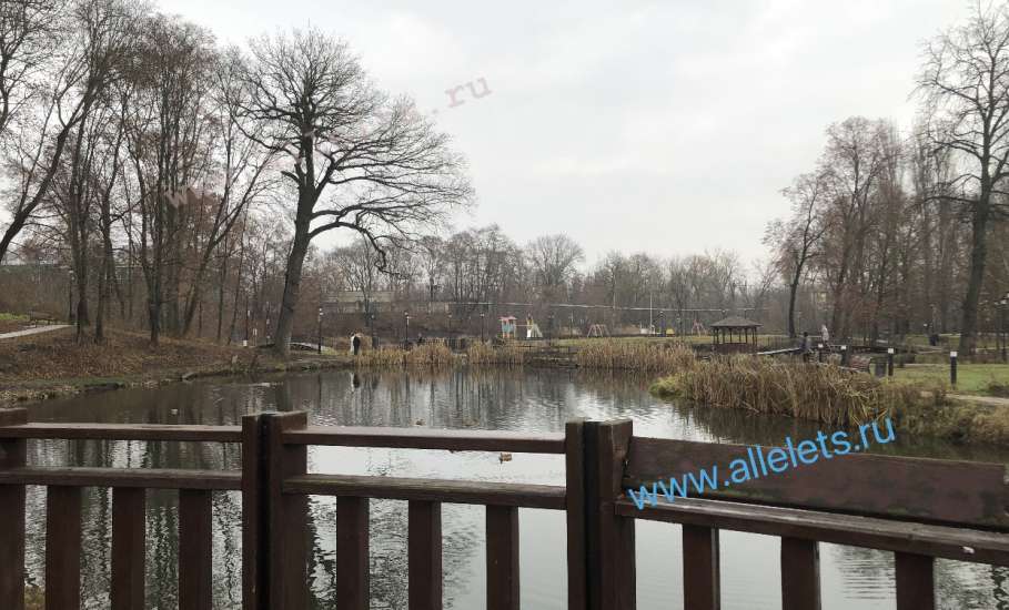 Дождливая осень в Петровском парке Ельца