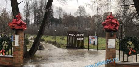 Дождливая осень в Петровском парке Ельца