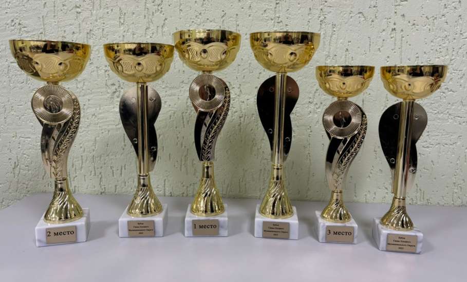 Финал Кубка главы Елецкого округа по Русским шашкам состоится в д. Хмелинец