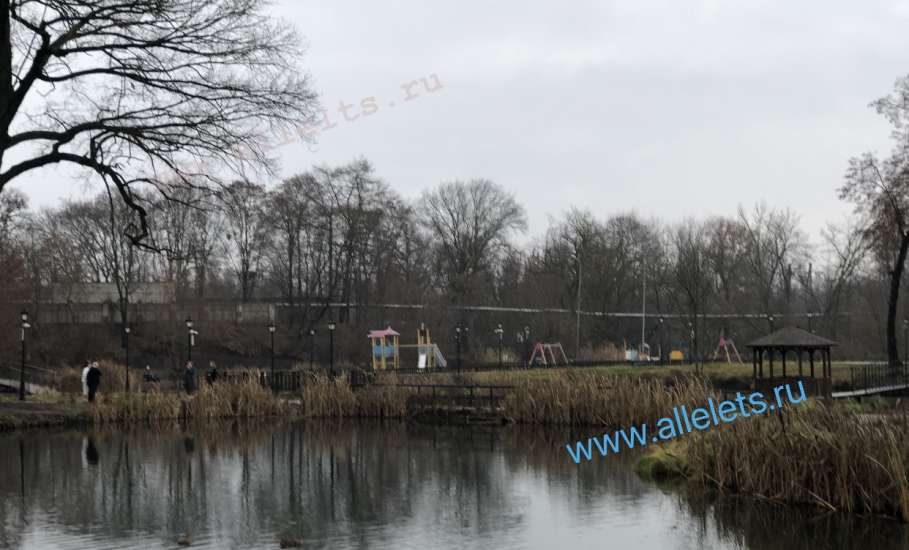 В США зафиксирован первый смертельный случай от штамма гриппа H5N5!