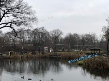 В США зафиксирован первый смертельный случай от штамма гриппа H5N5!