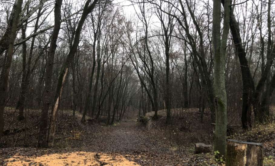 Осенняя прогулка по Лыжной базе в Ельце