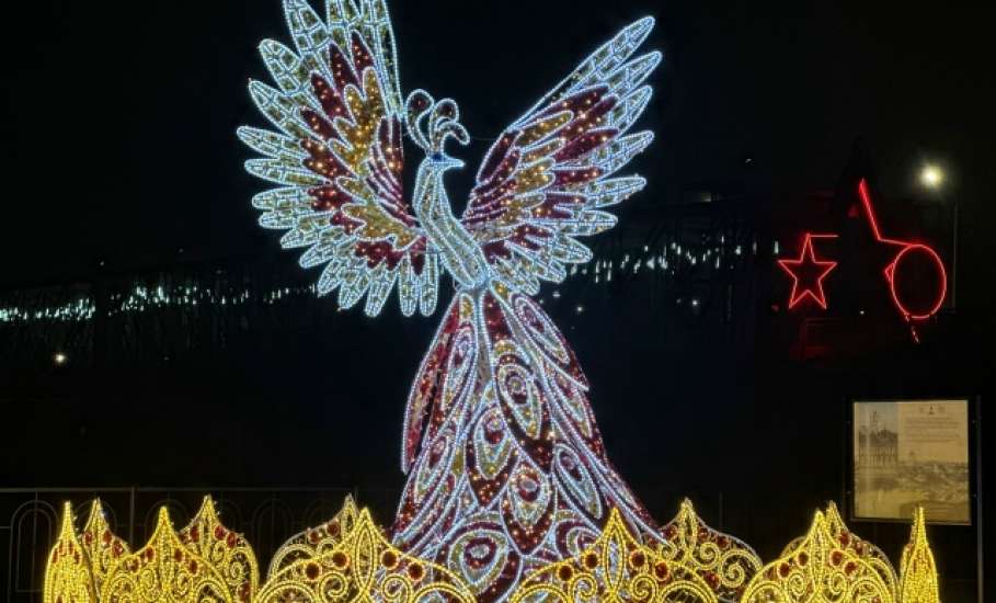 Жар-птица снова прилетела в Елец к новому году!