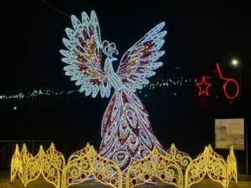 Жар-птица снова прилетела в Елец к новому году!