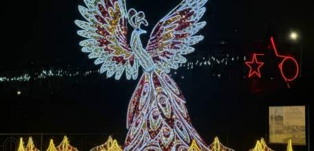 Жар-птица снова прилетела в Елец к новому году!