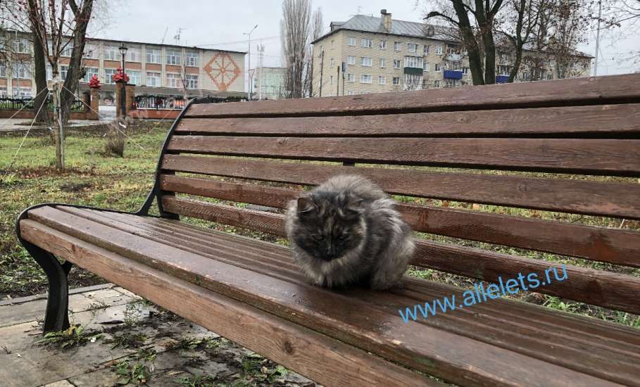 Отбой желтого уровня "Воздушной опасности" для Липецкой области