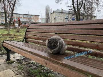 Отбой желтого уровня "Воздушной опасности" для Липецкой области