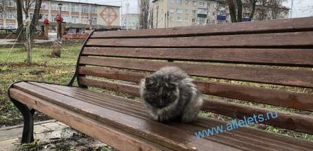 Отбой желтого уровня "Воздушной опасности" для Липецкой области
