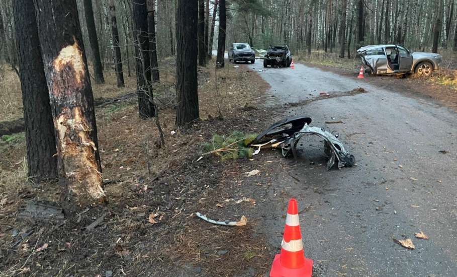 В Грязинском районе погиб пассажир врезавшейся в дерево иномарки!