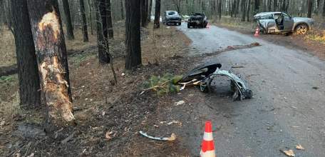 В Грязинском районе погиб пассажир врезавшейся в дерево иномарки!