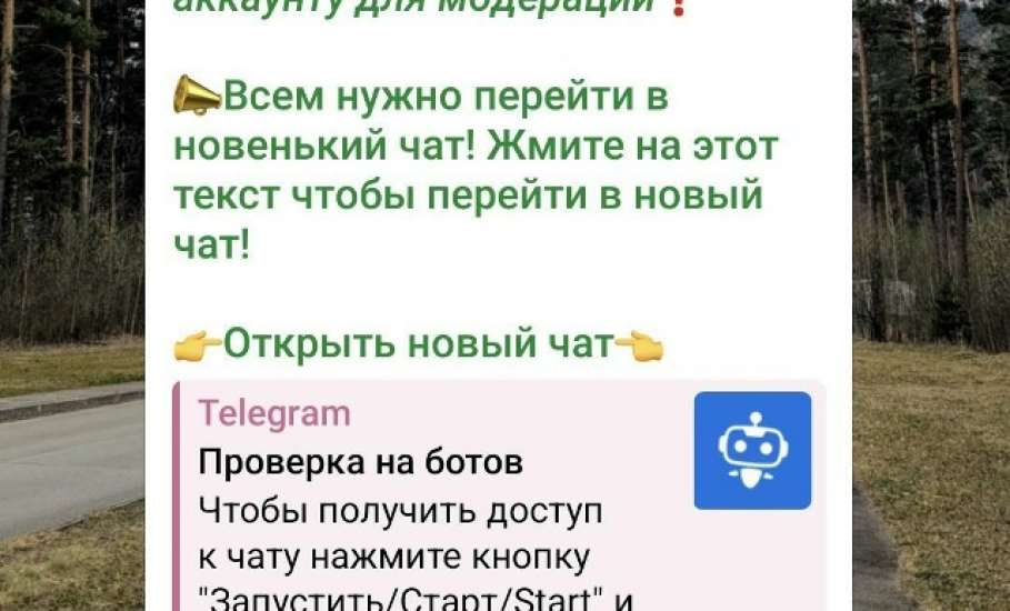Мошенники в Сети начали активно использовать новую схему