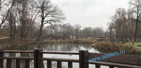 В Липецкой области объявлена «Воздушная опасность»!