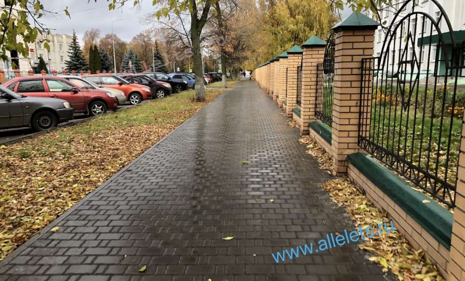 Новые правила поступления в вузы вводят в России