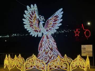 Разъяснение главы города Ельца по поводу ранней установки новогодних украшений