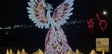 Разъяснение главы города Ельца по поводу ранней установки новогодних украшений