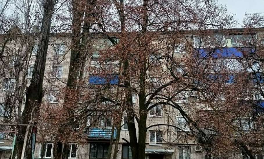 В Ельце продолжается опиловка деревьев и наведение порядка