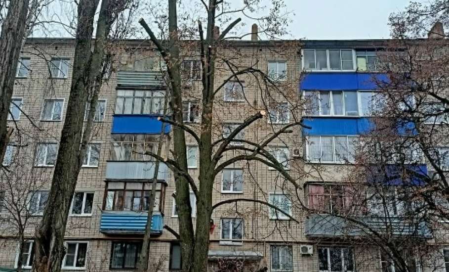 В Ельце продолжается опиловка деревьев и наведение порядка