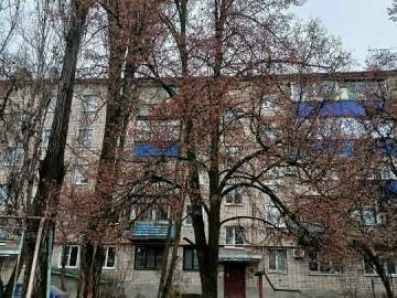 В Ельце продолжается опиловка деревьев и наведение порядка