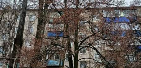 В Ельце продолжается опиловка деревьев и наведение порядка