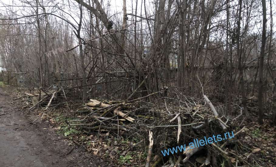 В Ельце новое ЧП! Дерево вырвало с корнем на кладбище, проход перегорожен!